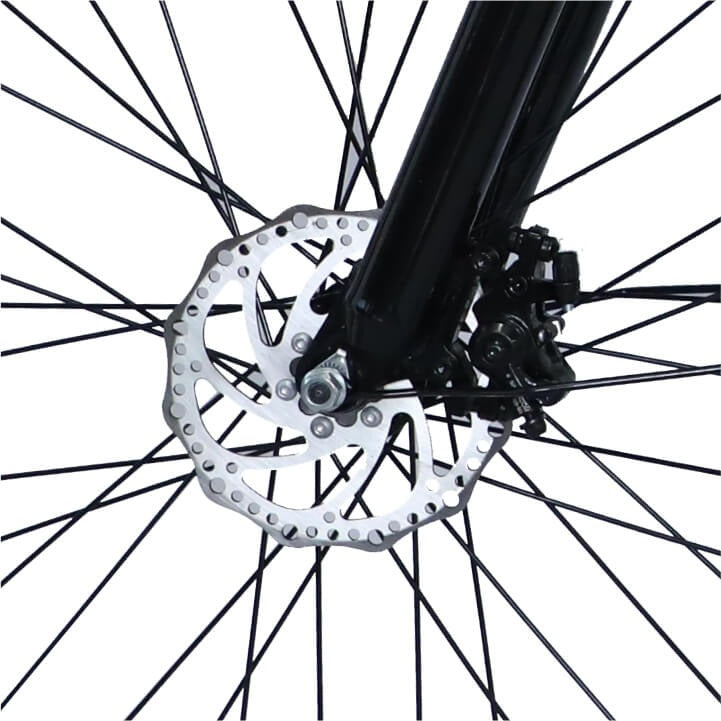 Electric Cycles Nexzu-Bazinga Cargo (14.5Ah) - Solar World