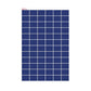 UTL Solar Panel 165 Watt Poly Crystalline - 25 Years Warranty