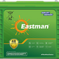 Eastman EMSS100048TT 100Ah Tall Tubular Battery