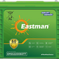 Eastman EMSS220060TT 220Ah Tall Tubular Battery