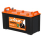 LIVFAST MXSTJ 2148 - 180AH JUMBO TUBULAR -  WARRANTY : 24 + 24 MONTHS